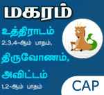capricorn 2017 free saturn tamil horoscope